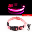 Coleira para  Cães - LED (USB)